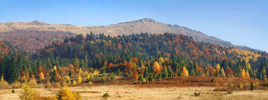 Карпати восени: куди піднятися — Близниці, Пікуй і Шпиці
