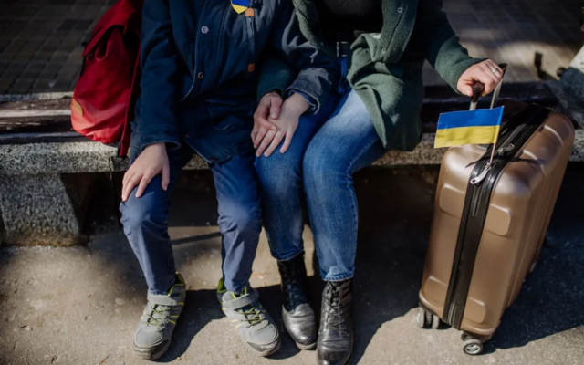 З жовтня 2026 зміни для ВПО: витяг замість довідки, 30 днів на повідомлення
