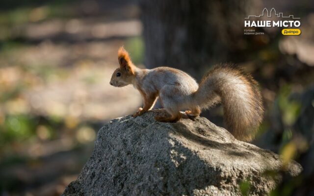 Погода в Дніпрі та області 17–18 жовтня: дощі, тумани і прохолода